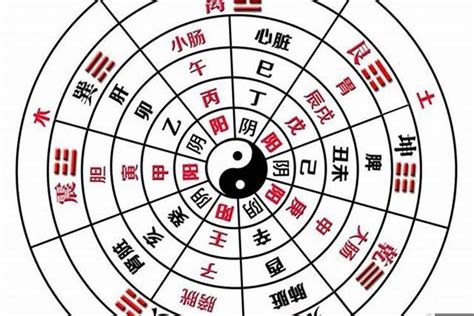 全阳八字|算命高手告诉你，什么是真正的八字纯阴和纯阳？